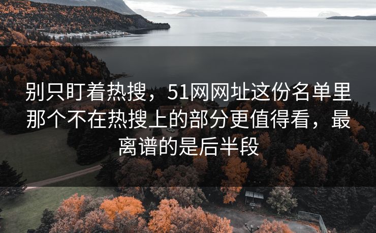 别只盯着热搜，51网网址这份名单里那个不在热搜上的部分更值得看，最离谱的是后半段