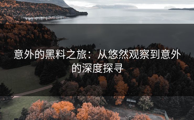 意外的黑料之旅：从悠然观察到意外的深度探寻